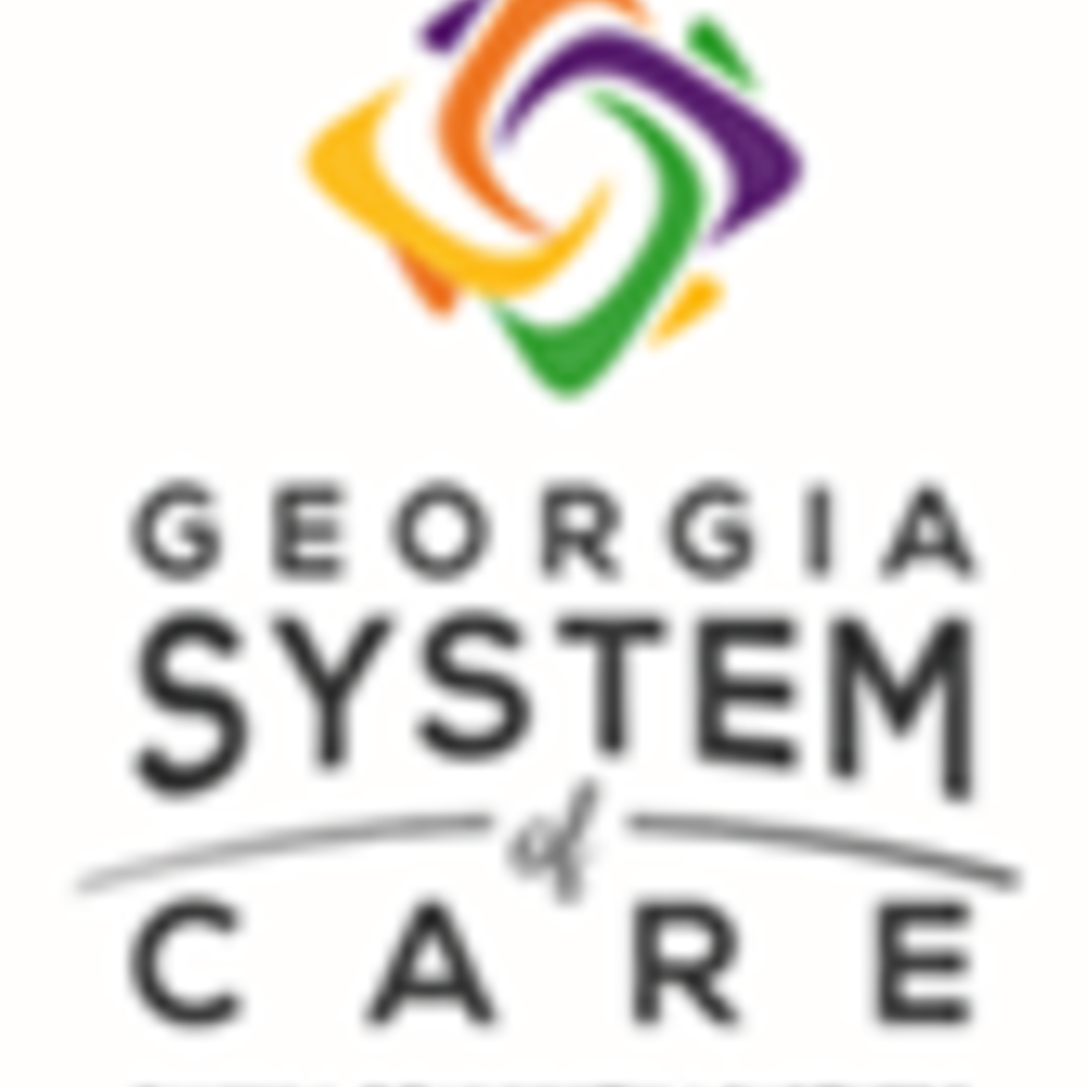       12th Annual System of Care Academy
  
