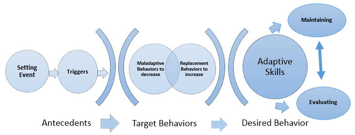 Behavioral Support BSplanPathway2.jpg