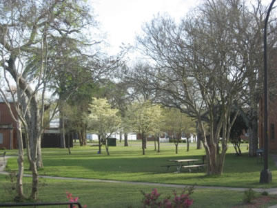 campus1.jpg